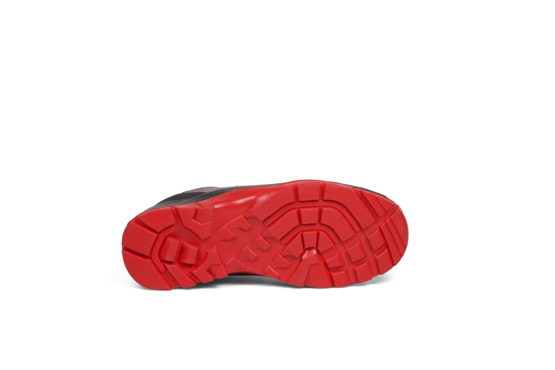 0101558_2_Large.png
