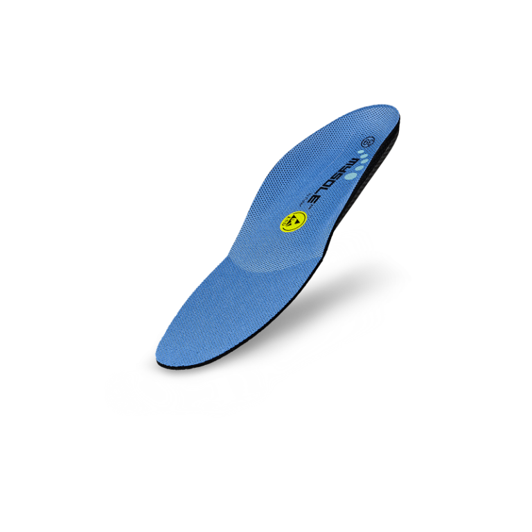 0123857_1_Large.png