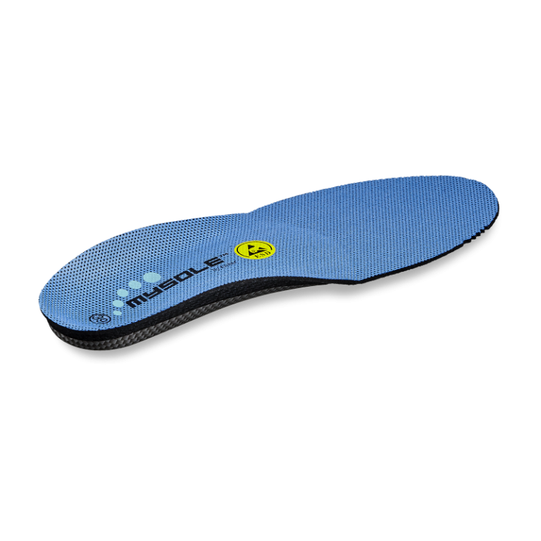 0123857_3_Large.png