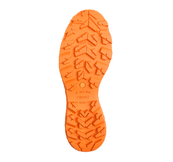 0044914_2_Large.png