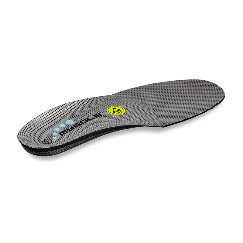 0022300_3_Large.png